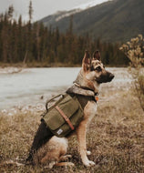 Sacoches de Randonnée Ranger pour Chien